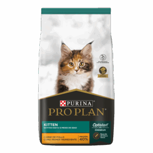 PRO PLAN GATITO