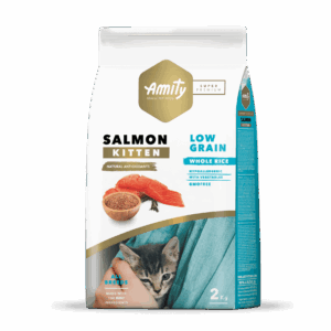 AMITY SALMON KITTEN
